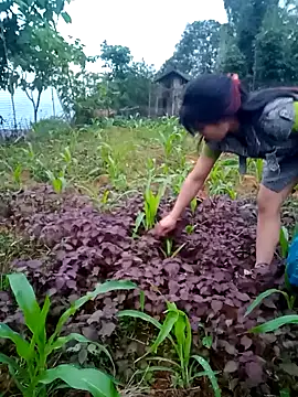 him220 webkamerás műsora