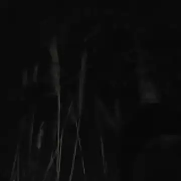 Show de webcam de luis97fer