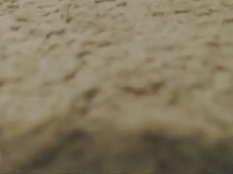 studlyhardwoodd: онлайн-секс-чат