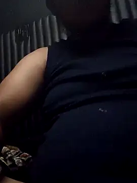 crew1314n Webbikameraesitys