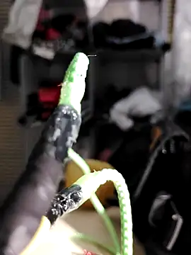 pingadulceproficial7 live XXX chat