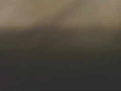 studlyhardwoodd 在線直播表演