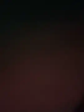 ChicagoMadeThirdLeg webkamerás műsora