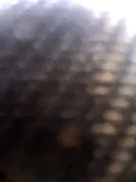 دردشة 510915asi الجنسية المباشرة