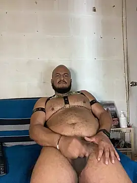 the_master_foal_ Show in webcam