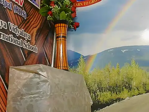 Stubborndesiboy 라이브 XXX 채팅