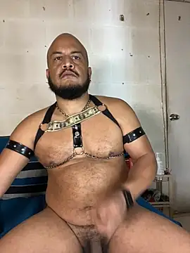 the_master_foal_'s Webcam Show