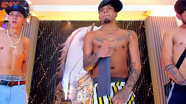 Вебкам-шоу the_knights_of_the_night_