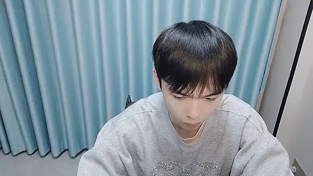 w5206t 网络视讯表演