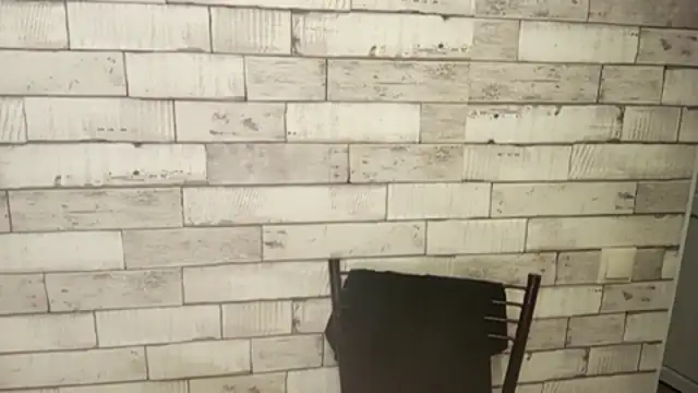 DelicaBrome 라이브 XXX 채팅