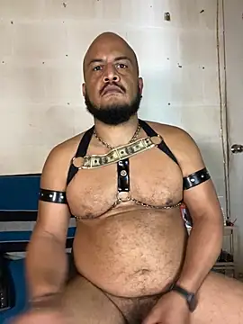 عرض كام the_master_foal_