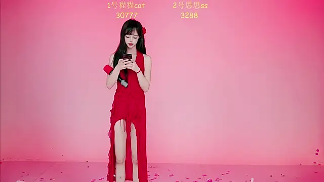 Show webcam de XG-002