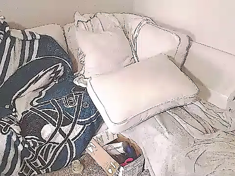 studlyhardwoodd's Live XXX Chat