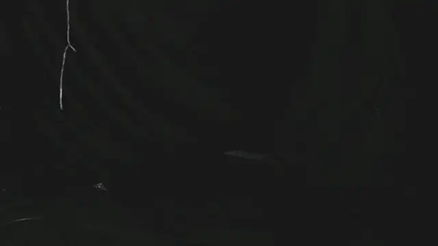 Pokazy przed kamerką – LaPutotota