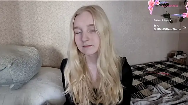 Show Webcam de ForwentSeat