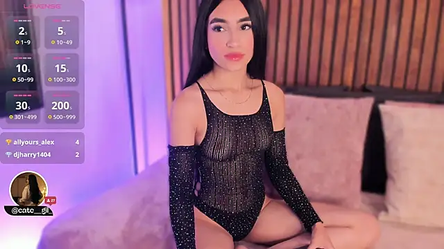 Chatroom XXX en direct de cate_gil