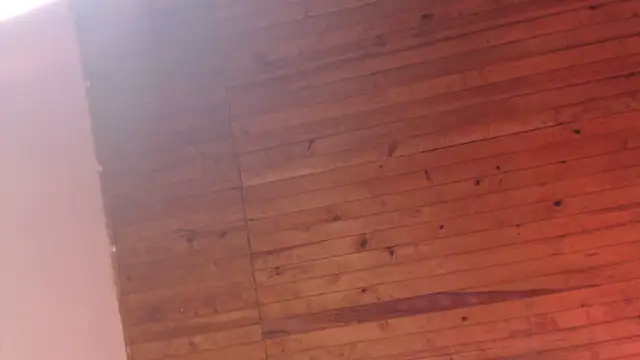 ArturoCardona_ live XXX chat