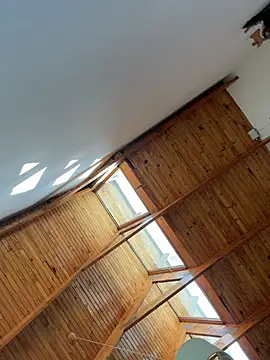 Show webcam de NiaLong21_