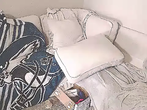 Chat +18 de studlyhardwoodd ao vivo