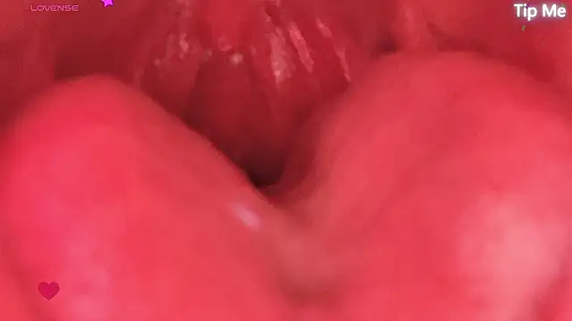 donghuangtaiyi--- 网络视讯表演