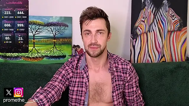 Show Webcam de Promethe_us