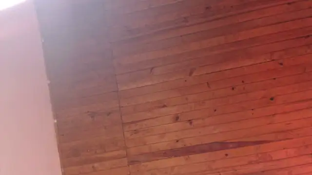 ArturoCardona_のウェブカメラショー