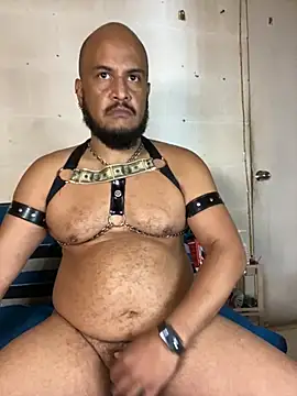 the_master_foal_ ওয়েবক্যাম শো