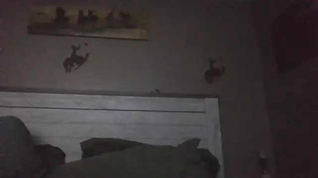 dmfv1288 Show in webcam