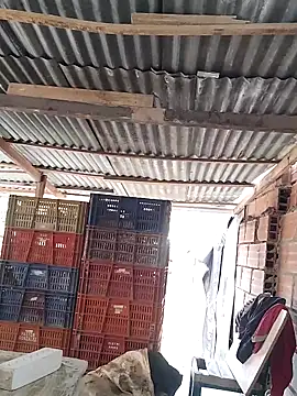 hoteder 라이브 XXX 채팅