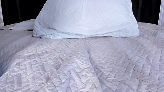 DylanRoyce_n Webbikameraesitys