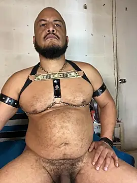 Pokazy przed kamerką – the_master_foal_