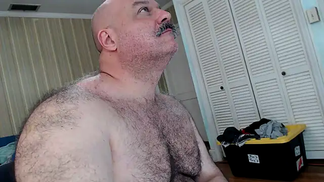 Chatroom XXX en direct de bullmusclejoe