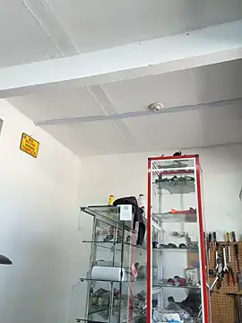 Paul22cm- 网络视讯表演