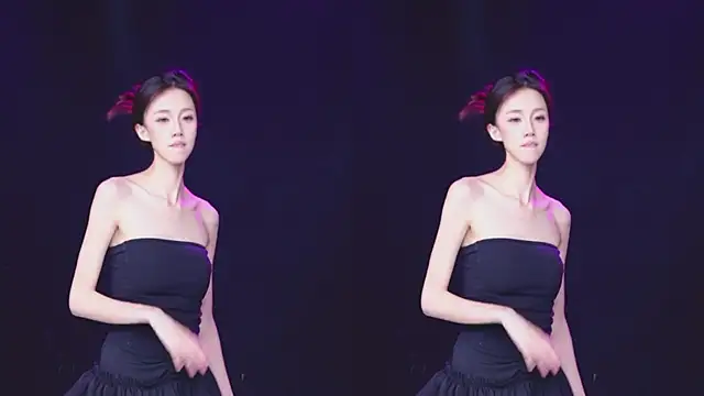 ZNZ-101 网络视讯表演