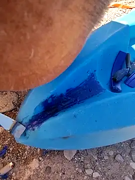 FloppyPickle4u élő XXX-chatje