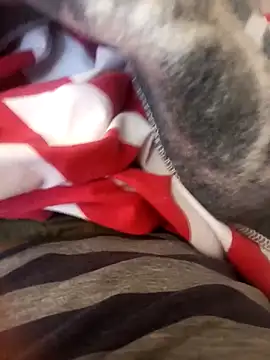 dAniiflow22 webkamerás műsora