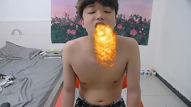 icecream-002n Webbikameraesitys