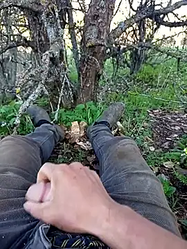 عرض كام Yaramaz331