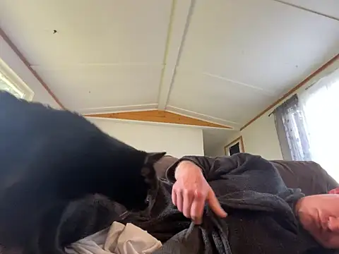 عرض كام cumitted