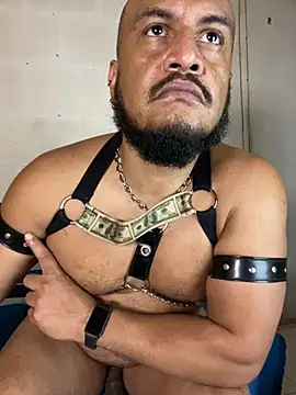 the_master_foal_ 现场XXX聊天