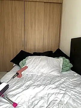 Nicollemaysn Webbikameraesitys