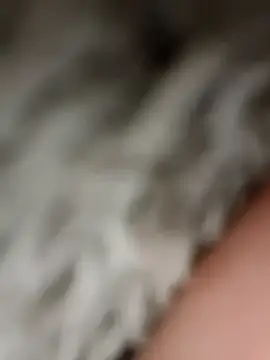 Lovemcurvy69 Webcam Show