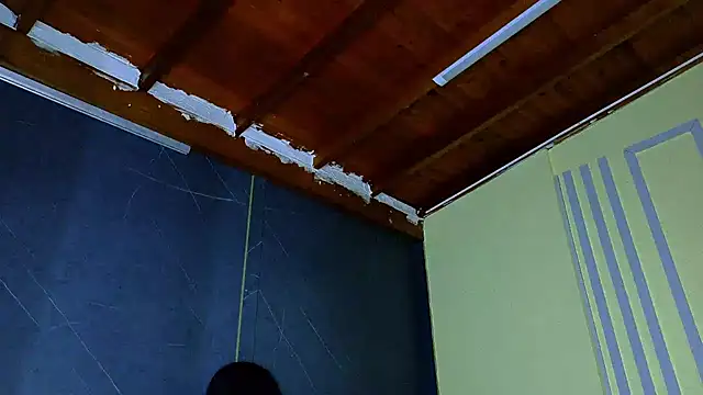 ALANNFERRER 웹캠 쇼