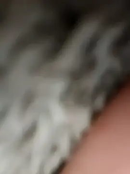 Lovemcurvy69 网络视讯表演