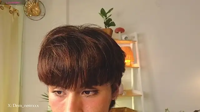 Tommyfoxboy   网络视讯表演