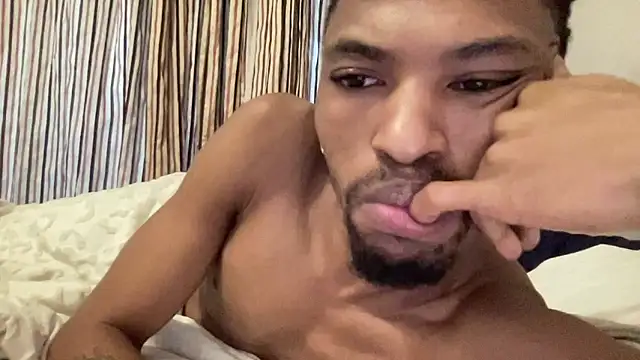 BlueIceCube Show Webcam