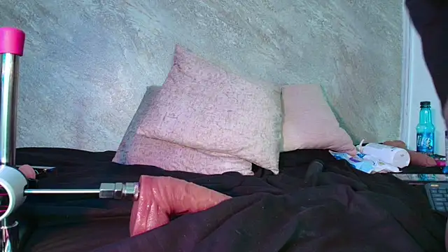 Dixie_grey1 Webcam-Show