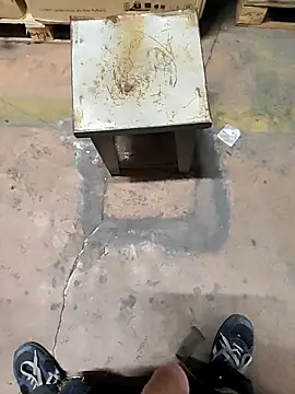 Show webcam de TAMI61