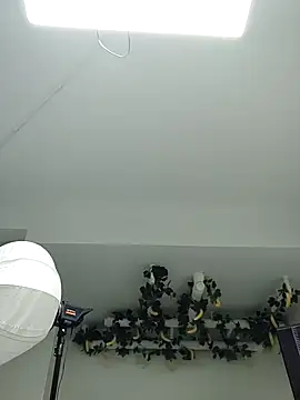 Pertunjukan Kamera Web -OvO-