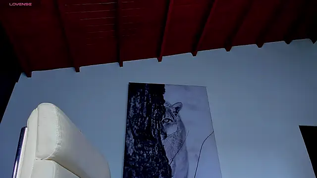 Czat XXX na żywo – Santos_ramirez1